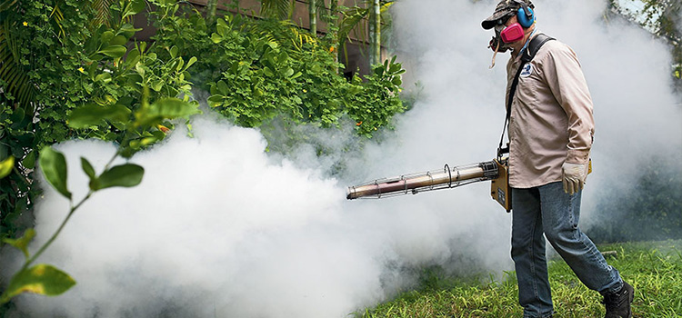 Mosquito Control Companies in Garden, UT