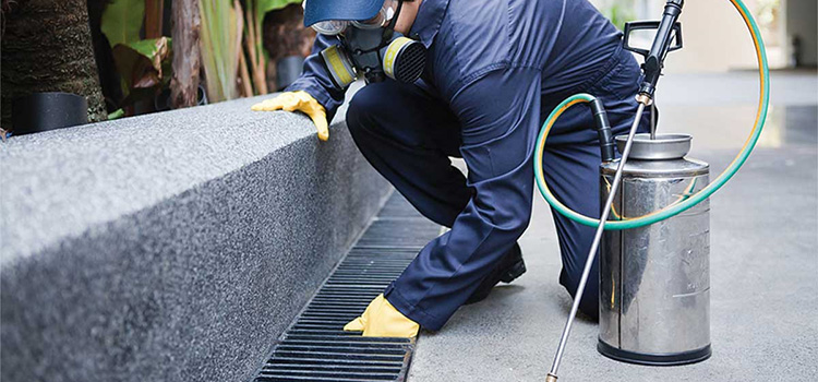 Insect Control Cost in Orland Park, IL