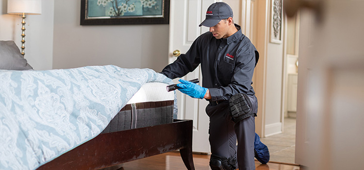 Professional Bed Bug Exterminator in Brooklyn Center, MN