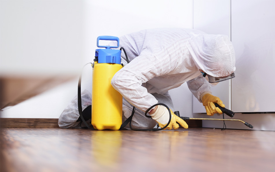 professional pest control services in Fairfield