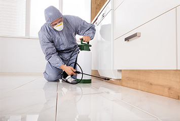 pest control expert in Apache Junction