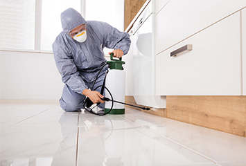 pest control expert in Fairfield