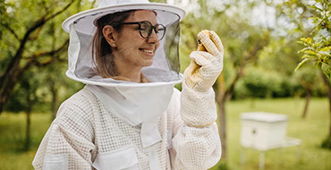 Bee Removal in Columbia